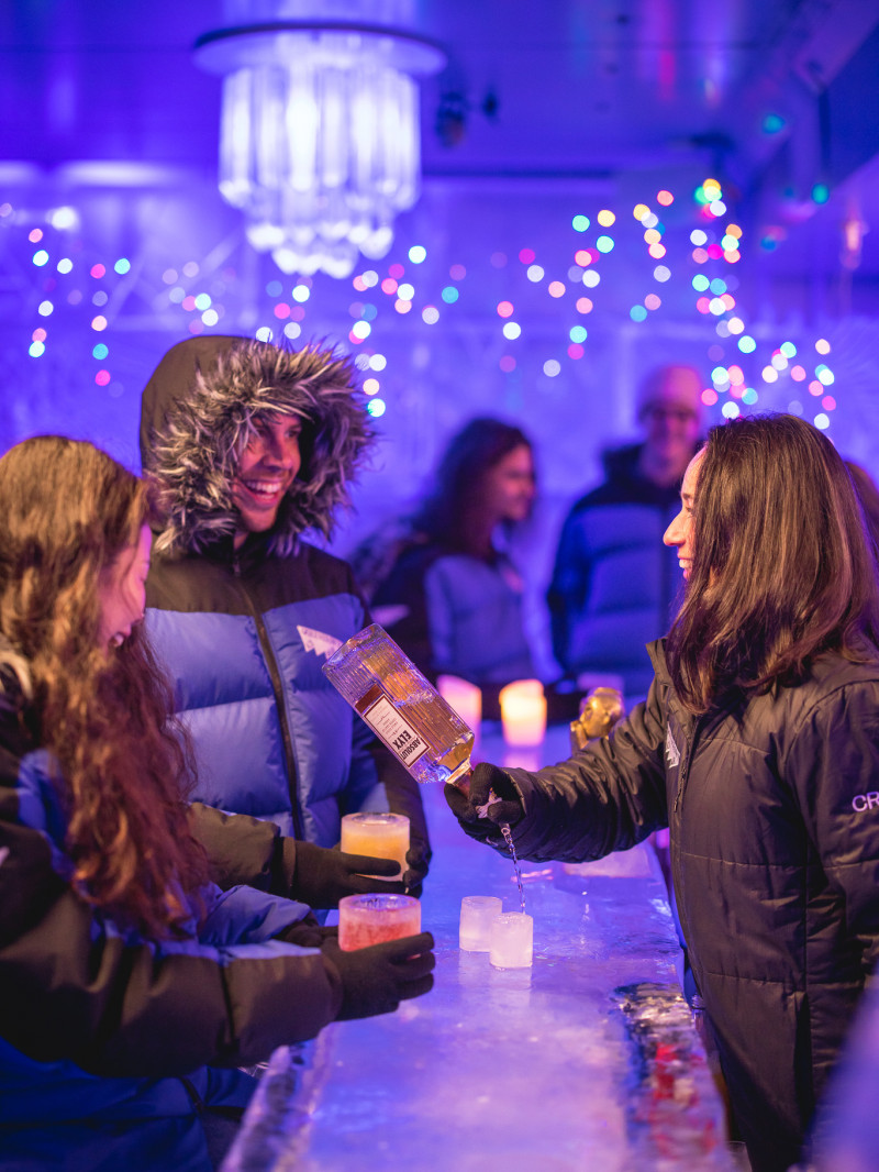 Queenstown Ice Bar 8