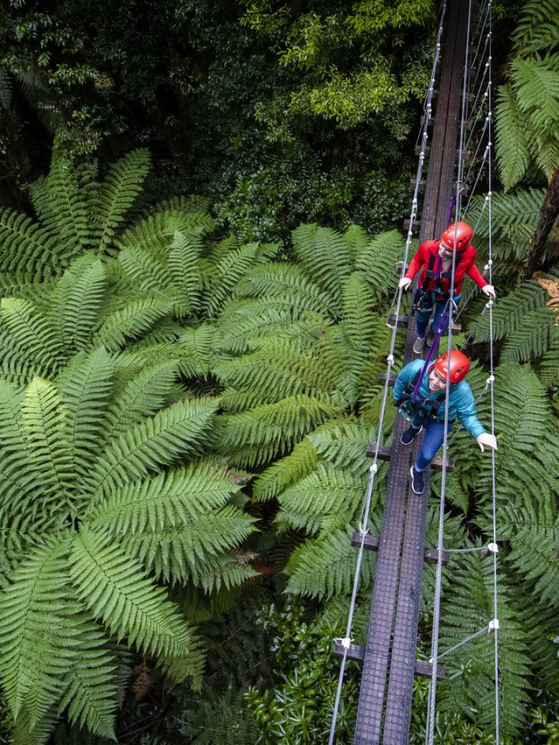 Rotorua Canopy Tours 1