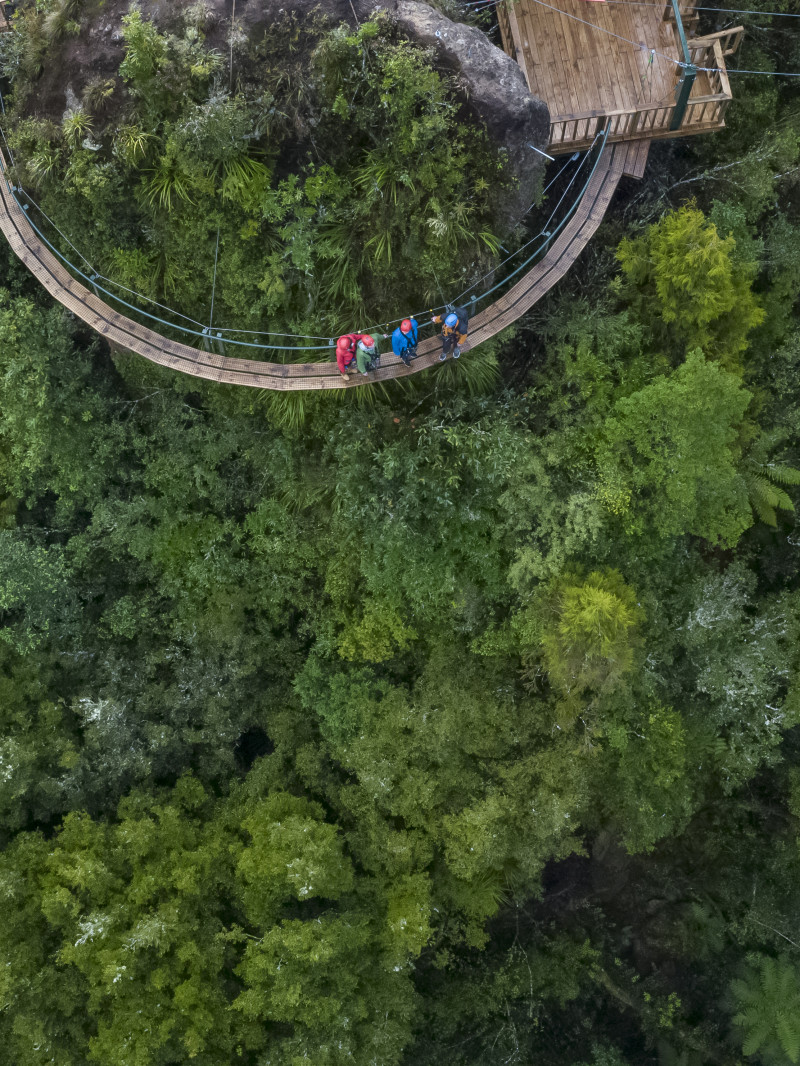 Rotorua Canopy Tours 3