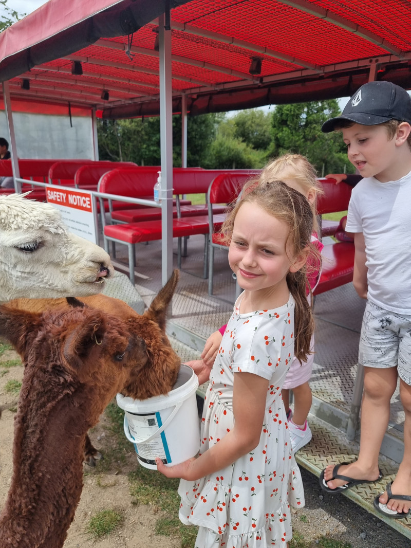 The Farm Tour 1