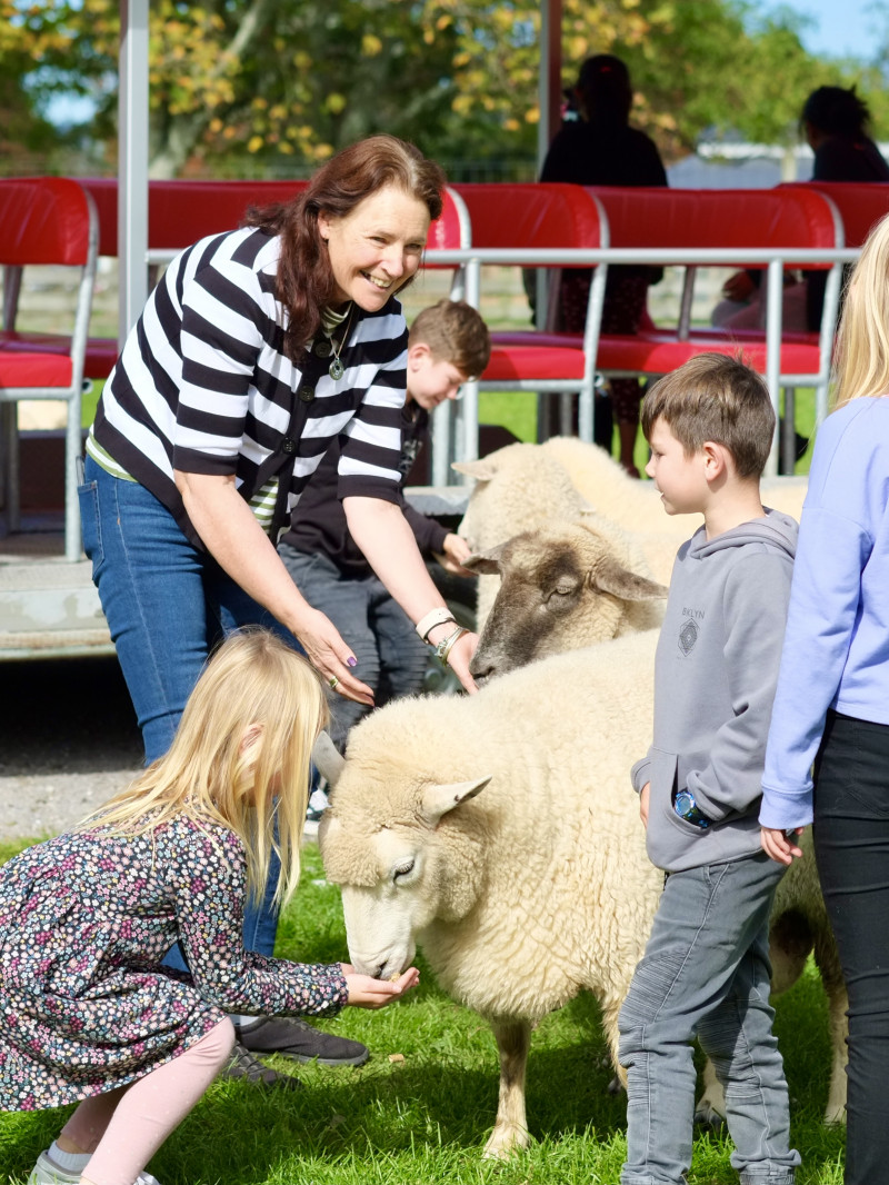 The Farm Tour 4