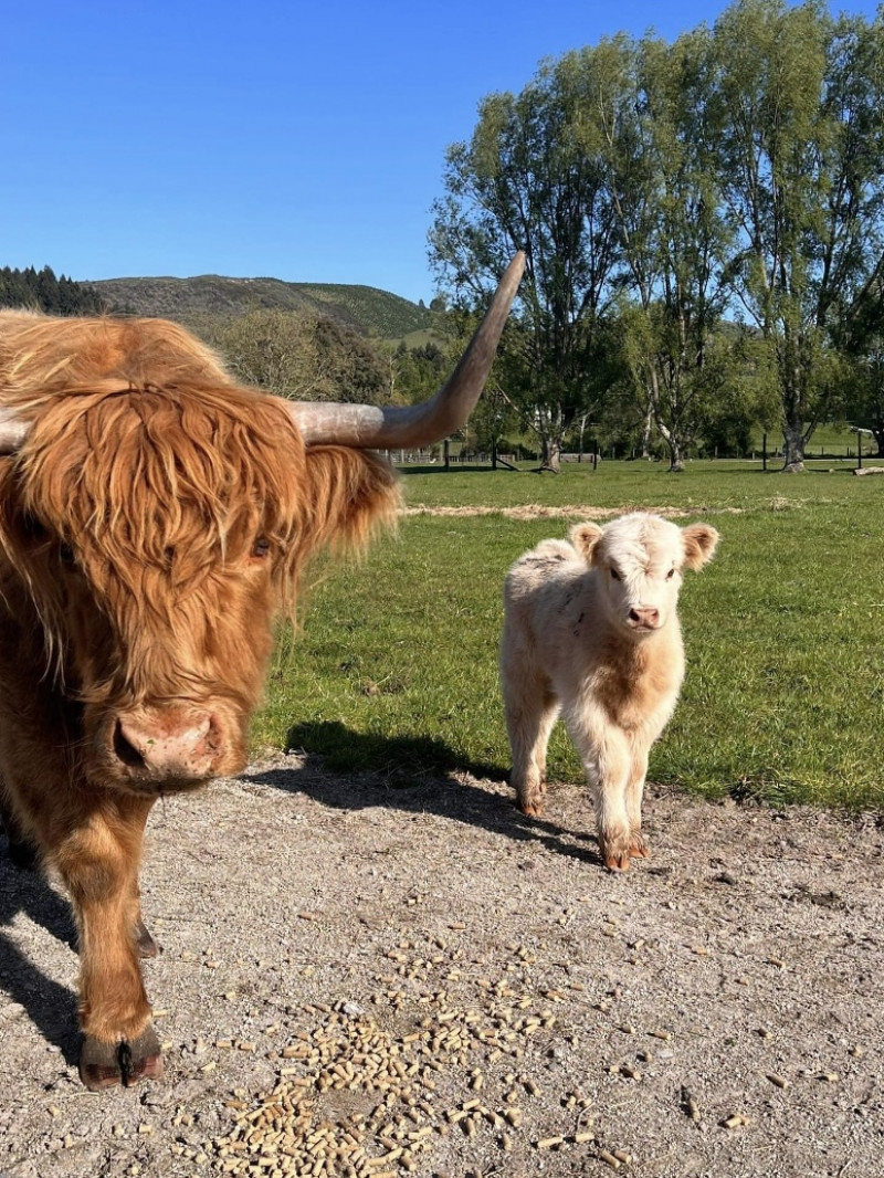The Farm Tour 3
