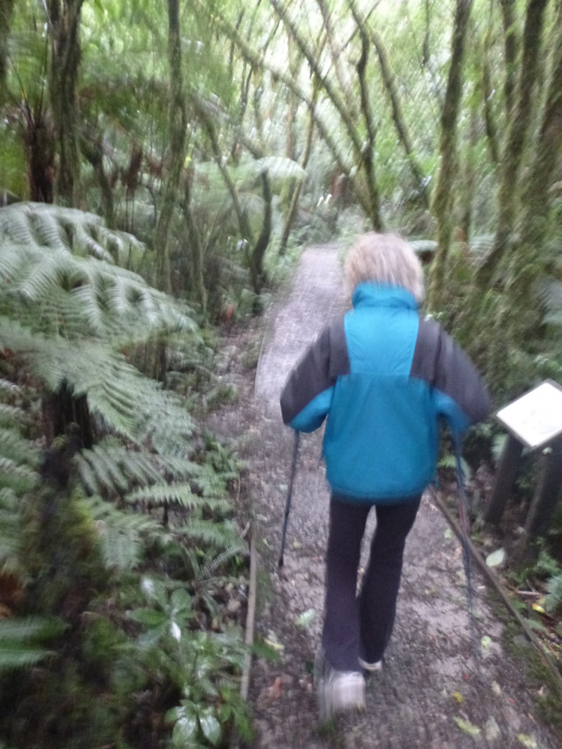Ruapehu Mountain Motel & Lodge 8