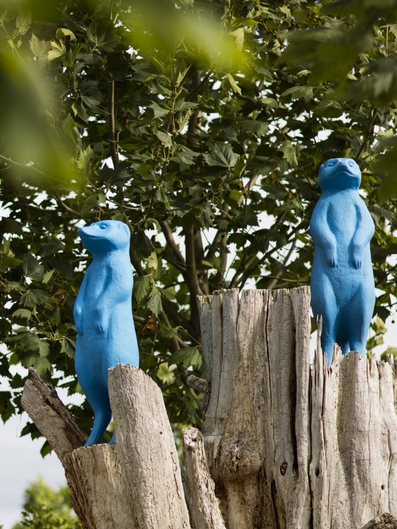 Sculptureum 6