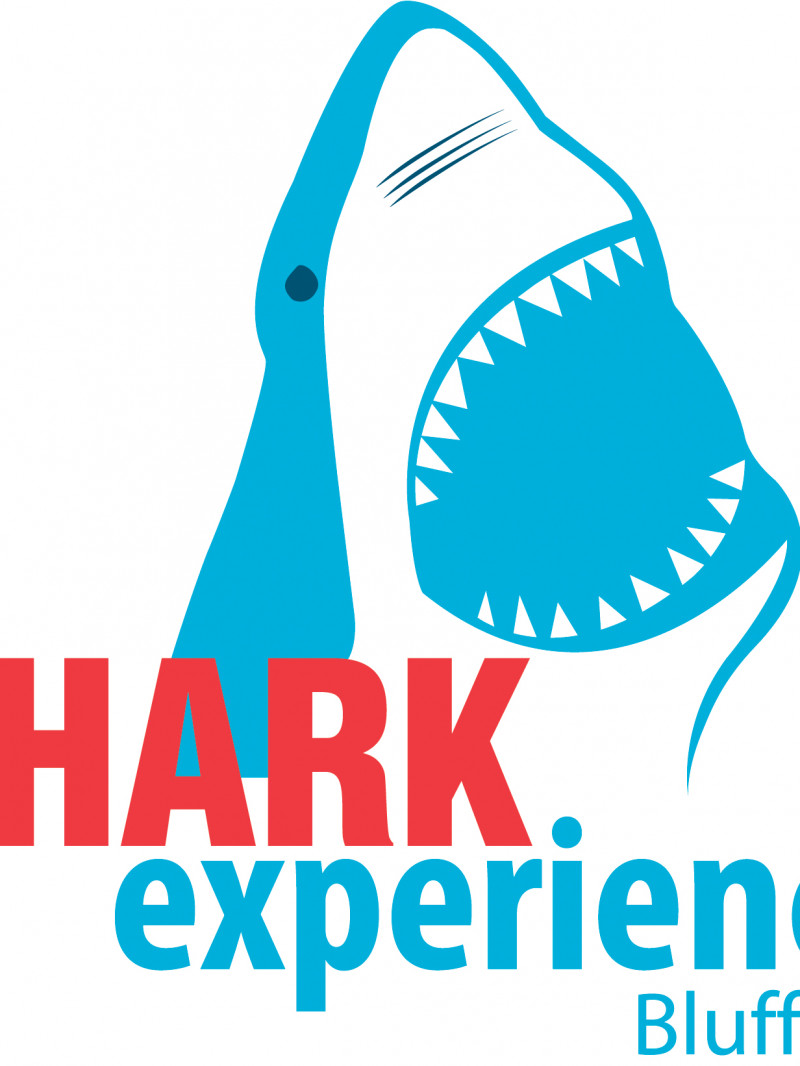 Shark Cage Diving & Sightseeing 7