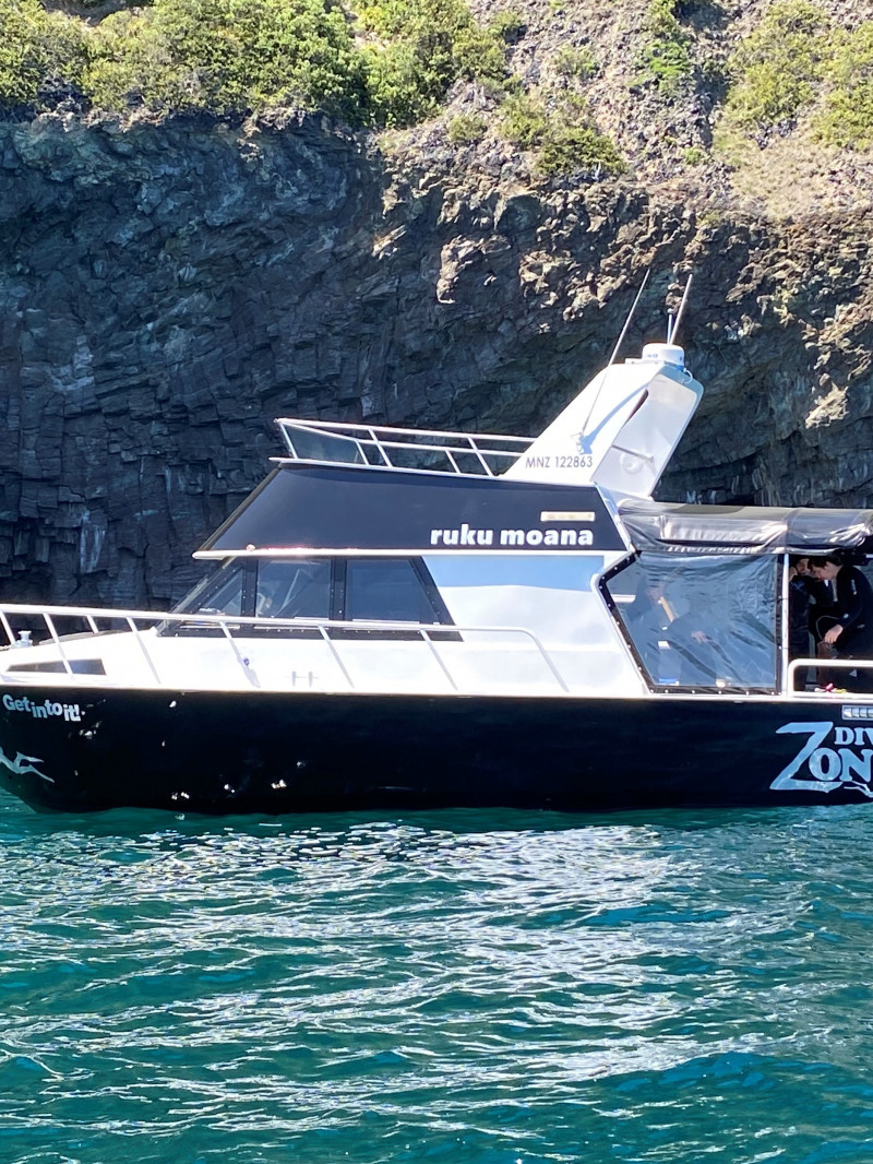 Dive Trip - Tauranga 1