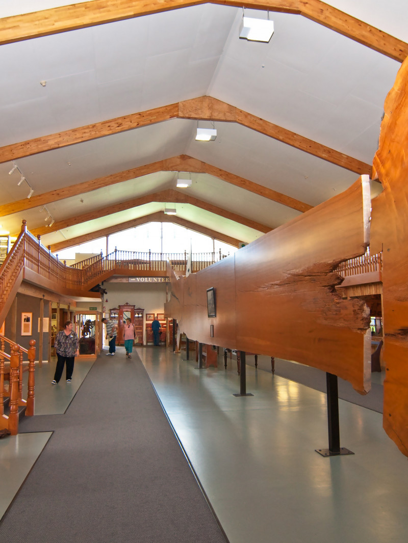 The Kauri Museum 8
