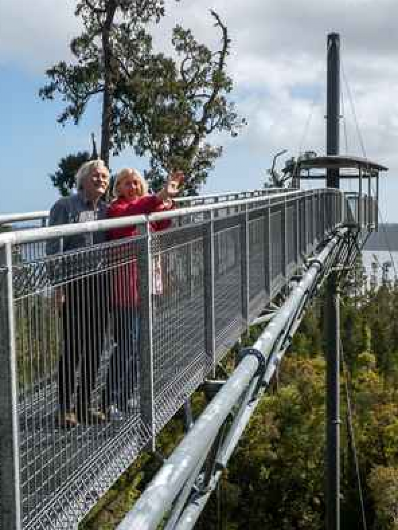 West Coast Treetop Walk & Cafe 3