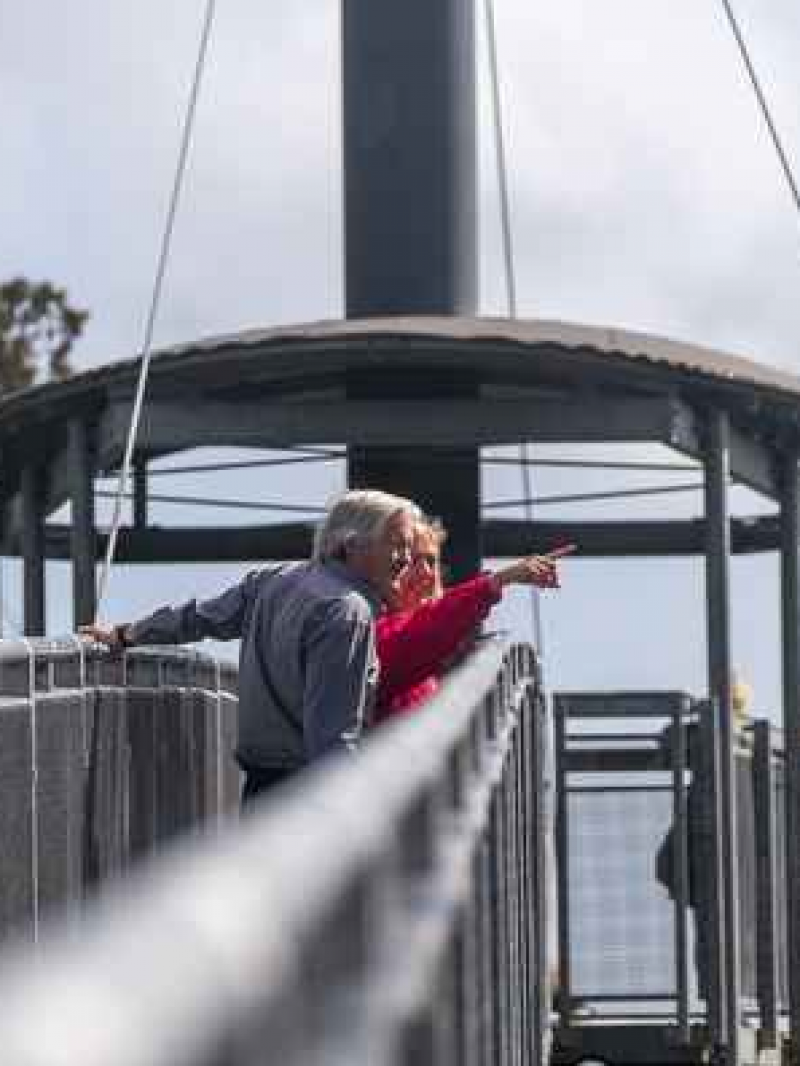 West Coast Treetop Walk & Cafe 4