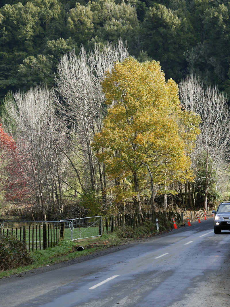 Taranaki: Forgotten World Highway Touring Map 1
