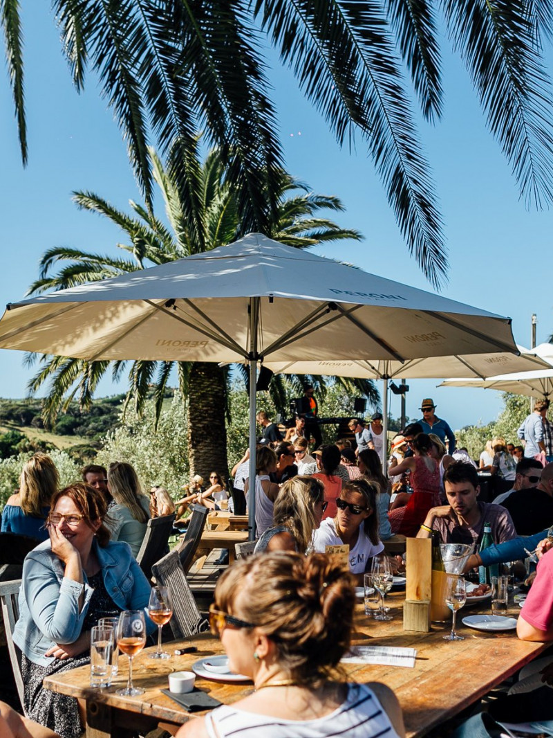Waiheke Winegrowers - Island Of Wine 2