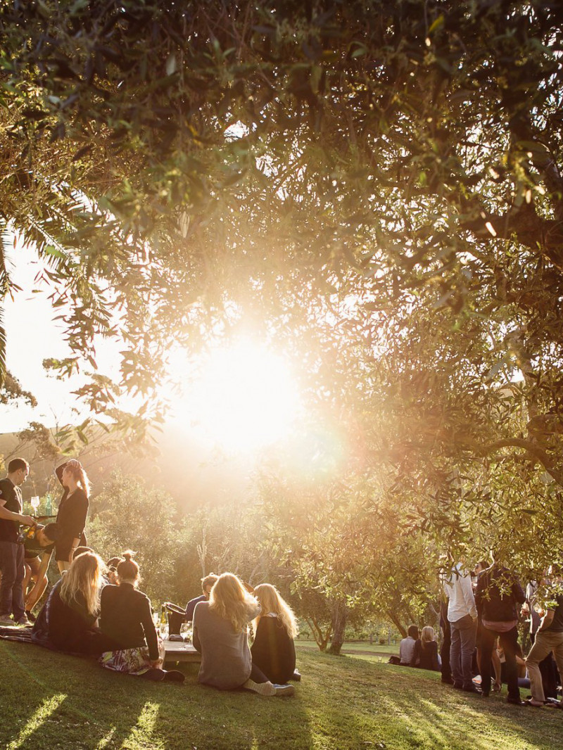 Waiheke Winegrowers - Island Of Wine 4